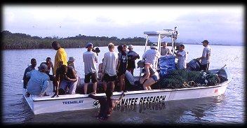 Manatee Research